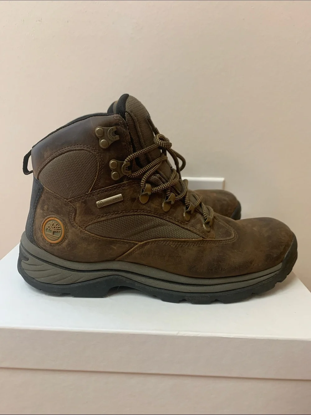 Timberland White Ledge Mid Hiking Boot